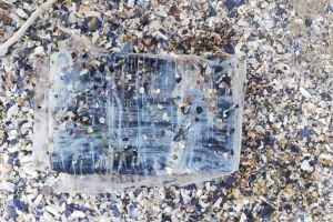 Cazul drogurilor care au invadat“ litoralul! Ce s-a deci ieri la Constanta