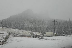 A nins pe Rarău la început de octombrie