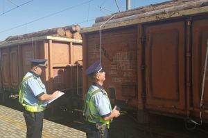 Tren, incarcat cu material lemnos, fara documente legale. Politistii de la transporturi au aplicat mai multe masuri