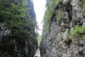 Tânără participantă la un maraton, a alunecat spre moarte!