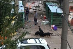 Baimarenii trag semnale de alarma. Romii nu pot fi opriti. Autoritatea locala doarme. Cartierele sunt invadate de mizerii! (FOTO)