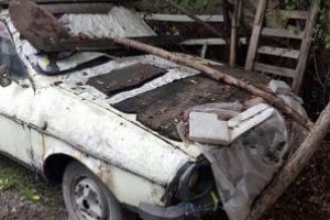 Baia Mare: Strada Minerilor sub asediul gunoaielor si a ierburilor (FOTO)