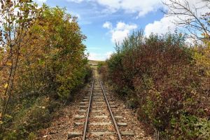 Asociaţia Mocăniţa Transilvaniei a pus pe şine ”Spaima ambroziei” (VIDEO)