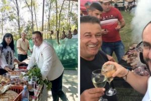 Începe acum: Ziua Recoltei la Băbana