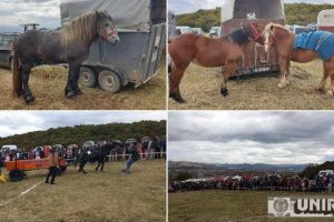 FOTO, LIVE VIDEO| ”Tropote şi Cai Putere în Țara Vinului 2019”: Concursuri hipice şi MOTOCROSS, recompensate cu diplome, premii în bani şi saci cu cereale