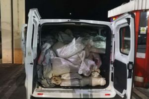 Canabis de 9 milioane de euro, oprit la frontieră! (VIDEO)