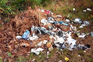 FOTO. Focar de infecţie lângă pod. Sătmărenii aruncă mizerii în neştire