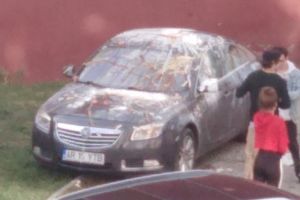 Maşina unui arădean, „recondiţionată” cu ouă, ketchup, muştar şi alte ingrediente (VIDEO)