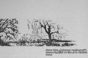 #DobrogeaDigitala Marturii de epoca privind istoria Dobrogei (1878-1947)“:  Masuri impotriva invaziei de lacuste, in Tulcea anului 1885 