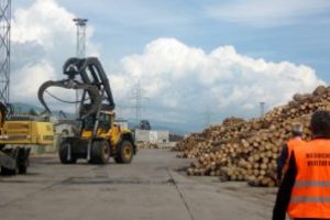 Schweighofer: Locul cheie pentru verificarea transporturilor de lemn e în pădure, noi stăm cu ochii pe furnizorii noştri inclusiv acolo