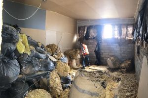 Actiuni de combatere a comertului ilegal cu produse din tutun. Peste 18000 de kilograme de tutun au fost confiscate (galerie foto)