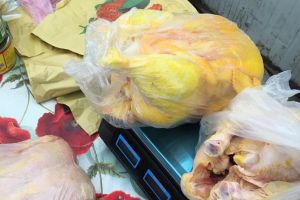 Găini vopsite, vândute drept „păsări de ţară”