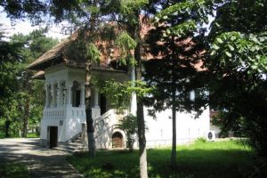 Casa Gănescu din Târgu-Jiu intră în administrarea Ministerului Culturii