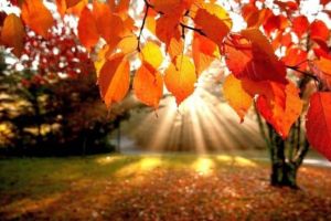 Cum va fi VREMEA până în 20 octombrie 2019, în Transilvania şi la munte. ANM a publicat prognoza meteo pentru următoarele 2 săptămâni