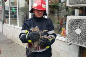 FOTO: Salvată de miorlăit! Pisicuţă captivă între faţada unui magazin şi peretele fasl, salvtaă de pompieri
