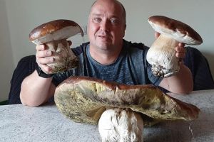 FOTO VIDEO Hribi uriaşi culeşi în Poiana Braşov