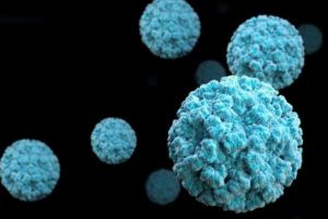 ALERTĂ medicală în Alba din cauza infecţiilor cu Norovirus, un virus extrem de agresiv: 3 copii de la o grădiniţă din Alba Iulia au necesitat internare!