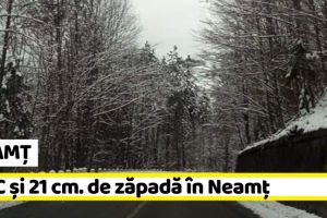 METEO: 21 cm. de zăpadă şi temperaturi de până la -7 grade în Neamţ