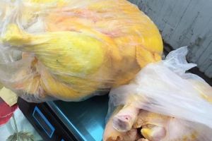 Carne de găină vopsita – Era vândută în pieţe ca fiind păsări de la ţară