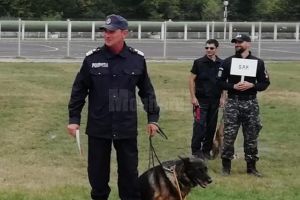 Câinele Olly al pompierilor suceveni, premiat cu bronz la campionatul naţional de dresaj