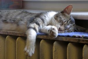 Anunţul făcut de CET: Când va da drumul la căldură