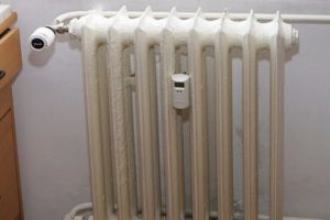 Căldură în casele piteştenilor