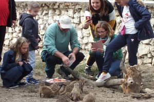 Ziua părinţilor adoptivi la Zoo Oradea a ajuns la cea de-a zecea ediţie (FOTO)