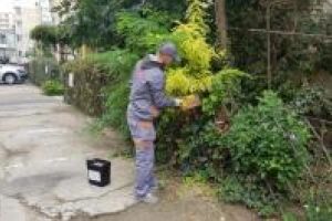 Actiunile de deratizare, reluate in Constanta (galerie foto)