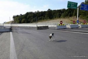 Autostrada Lugoj – Deva, lotul 3: Niciun muncitor nu a mai călcat pe „autostrada muzeu” din luna august