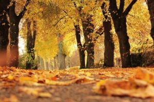 Directorul ANM vorbeşte despre temperaturi de vară în zilele următoare. „Începând de mâine valorile de temperatură vor fi în creştere!” Ce ne aşteaptă în weekend