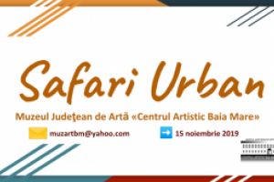 Foto Safari Urban, proiectul expozitional – participativ lansat de  Muzeul Judetean de Arta «Centrul Artistic Baia Mare» continua pana la mijlocul lunii noiembrie!