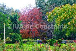 Constanta in culorile toamnei. Natura ofera un spectacol pentru locuitori (fotoreportaj)