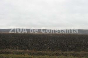 Proiectul Westhouse Group SRL privind construirea Centrului Regional IPSO Agricultura Ovidiu a primit acordul APM Constanta