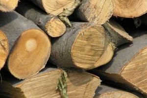 Transport de lemne confiscat de poliţişti