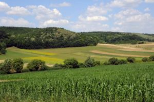Când începe APIA să facă plăţi în avans pentru fermieri