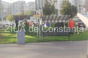 Primaria Constanta a inceput plantarile de toamna. Iata zonele vizate de lucratorii de la Spatii Verzi