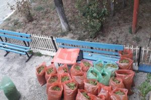 Tone de struguri şi făină, confiscate de poliţişti