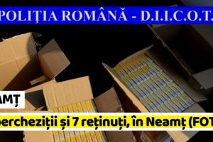 NEAMȚ: Grup infracţional, destructurat de poliţişti. 10 percheziţii şi 7 reţinuţi, în Neamţ (FOTO)