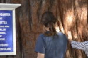 Industria ospitalităţii predată la Băile Herculane