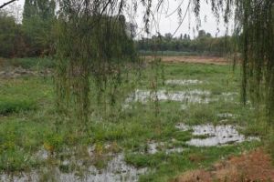 Lacul de la Parcul Bucov, abandonat după Revoluţie, a fost reamenajat