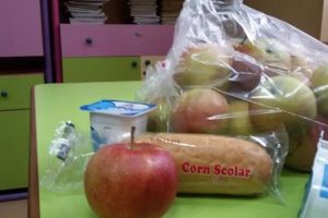 DSP Teleorman: avertisment pentru cinci unităţi şcolare din judeţ în urma verificărilor derulate în ultimele zile