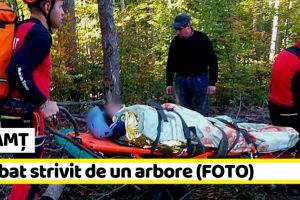 NEAMȚ: Intervenţie pentru salvarea unui bărbat strivit de un arbore (FOTO)