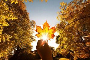 Prognoza meteo pe o lună: Cum va fi vremea până în 4 noiembrie şi cât de tare se încălzeşte