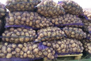 Viitor alimentar asigurat! Doi căruţaşi din Sânmartin au furat peste o tonă şi jumătate de cartofi