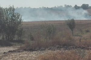 CORBII MARI: Unul dintre cele mai întinse incendii de vegetaţie, lichidat de pompieri