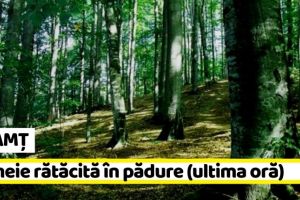 NEAMȚ: Misiune de căutare! Femeie rătăcită în pădure (ultima oră)
