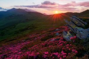 ANAP preia atributiile custozilor si poate incheia parteneriate pentru administrarea ariilor naturale protejate