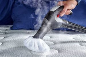 Alege curatenia impecabila, cu noile aspiratoare cu abur de la Polti!