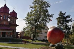 ”Sărbătoarea Mărului” se alătura campaniei de ajutorare pentru Eduard Valentin Oprea