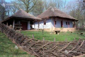 ROMÂNI CELEBRI: Dimitrie Gusti, iniţiatorul Şcolii româneşti de sociologie